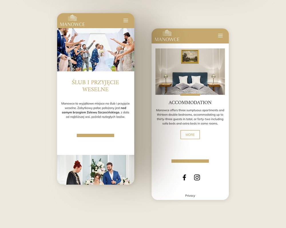 projekt graficzny i wykonanie strony www